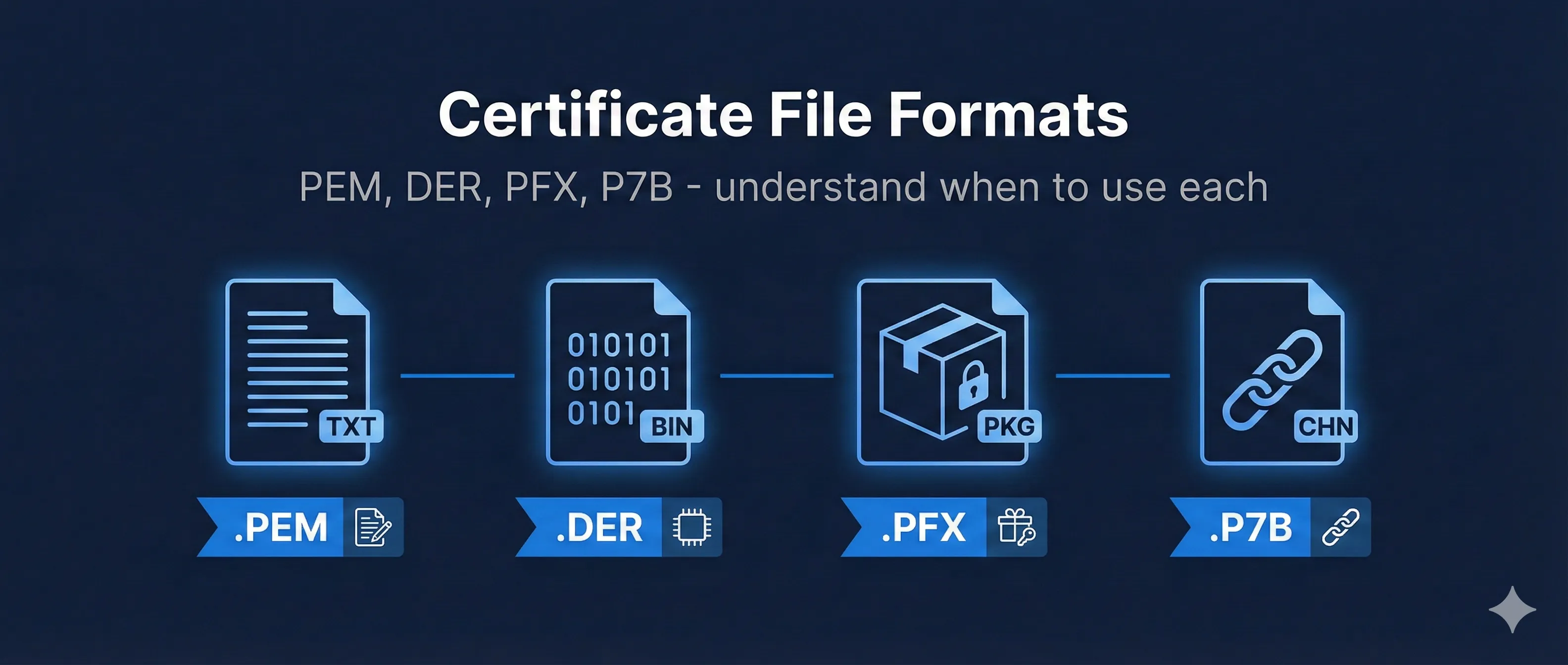 File Formats